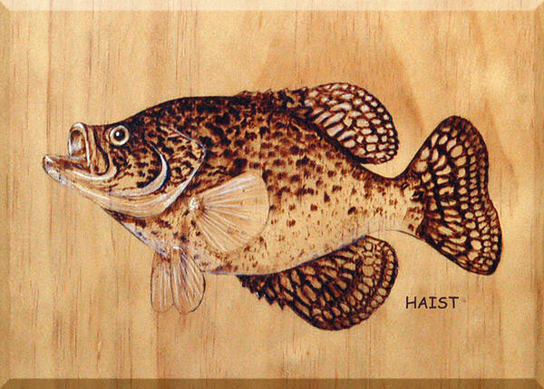Fish Art Print featuring the pyrography Crappie by Ron Haist