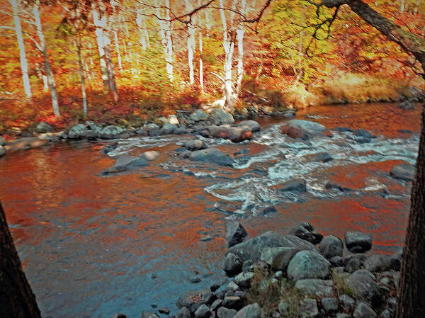 Creek . 10 / 17 Art Print featuring the photograph Creek 5 by Joseph F Safin