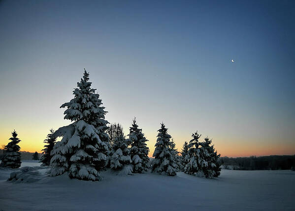 Snow Art Print featuring the photograph Crescent Dawn by Jill Love