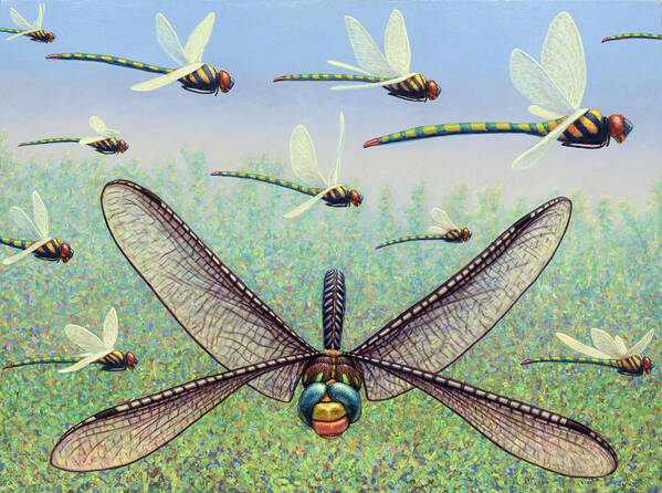 Dragonfly Art Print featuring the painting Crossways by James W Johnson