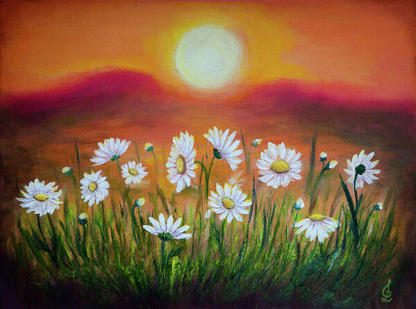 Daisies Art Print featuring the painting Daisies at sunset by Lilia S