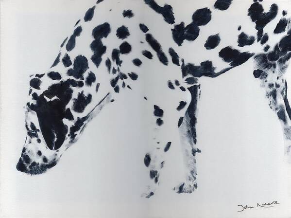 Dalmation Art Print featuring the painting Dalmation by John Neeve