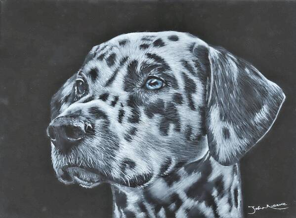 Dalmation Art Print featuring the painting Dalmation Portrait by John Neeve