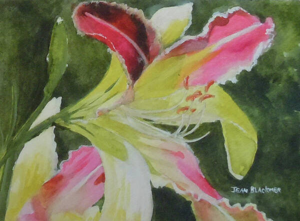 Daylily Art Print featuring the painting Daylily Study 1 by Jean Blackmer