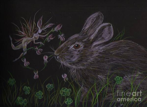 Fairie Art Print featuring the drawing Dearest Bunny eat the clover and let the Garden be by Dawn Fairies