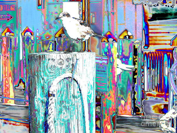 Seagull Sits On A Wharf Pilling In Key West  Art Print featuring the digital art Disco Dock Seagull by Priscilla Batzell Expressionist Art Studio Gallery