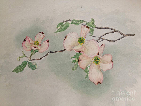 Dogwood Art Print featuring the painting Dogwoods by Janet Felts