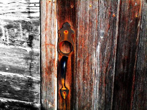 Wood Art Print featuring the photograph Door to the Past by Julie Hamilton