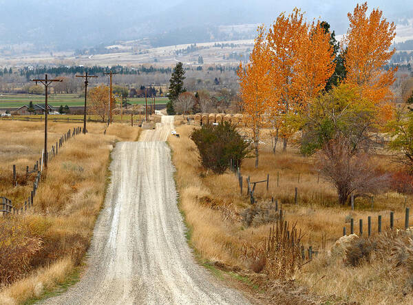 Down Art Print featuring the photograph Down the Lane by Nicholas Blackwell