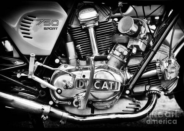 1974 Art Print featuring the photograph Ducati 750 Sport by Tim Gainey