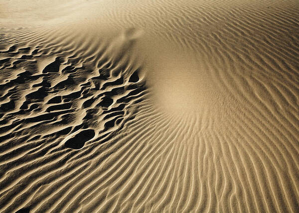 Landscape Art Print featuring the photograph Dunes Footprints by Sharon Foster