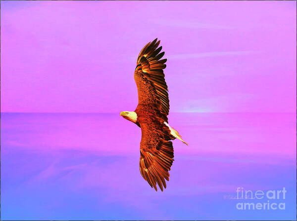 Eagle Art Print featuring the painting Eagle Series Painterly by Deborah Benoit