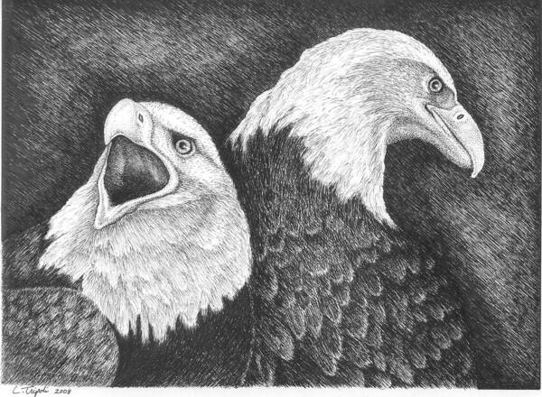 Wildlife Art Print featuring the drawing Eagles in Ink by Lawrence Tripoli