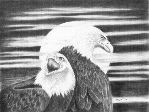 Bird Art Print featuring the drawing Eagles by Lawrence Tripoli
