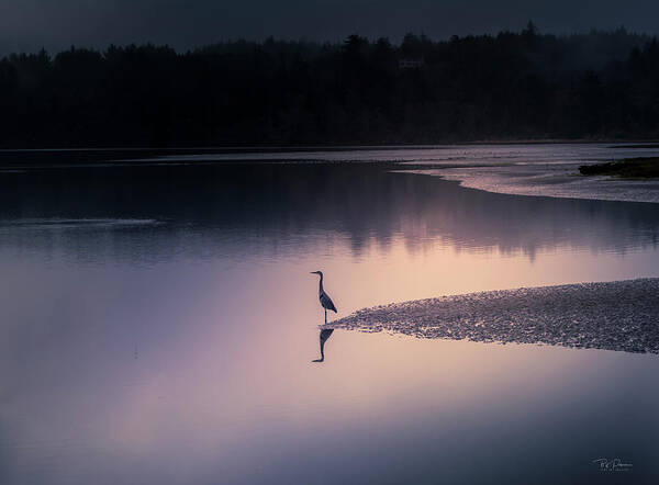 Bay Art Print featuring the photograph Early Morning Greeter by Bill Posner