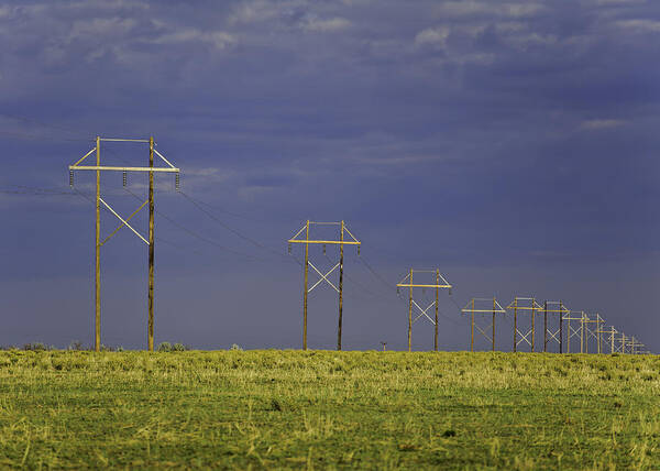 Agriculture Art Print featuring the photograph Electric Pasture by Melany Sarafis