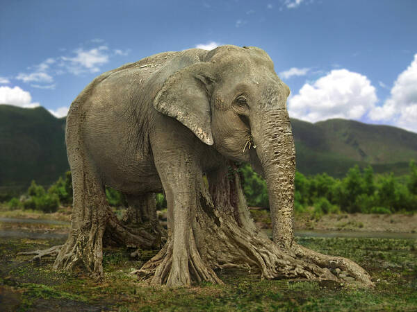 Photoshop Art Print featuring the digital art Elephant tree by Shai Biran