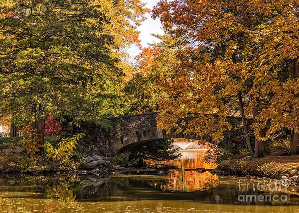 Bridge Art Print featuring the photograph Elizabeth Park Bridge in Autumn by Lorraine Cosgrove