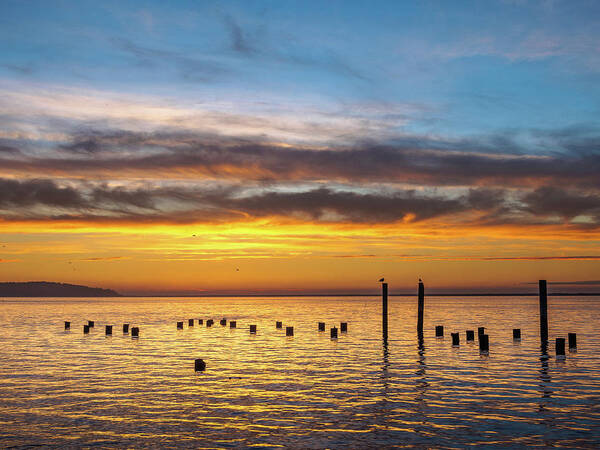 Humboldt Bay Art Print featuring the photograph End of the Day on Humboldt Bay by Greg Nyquist