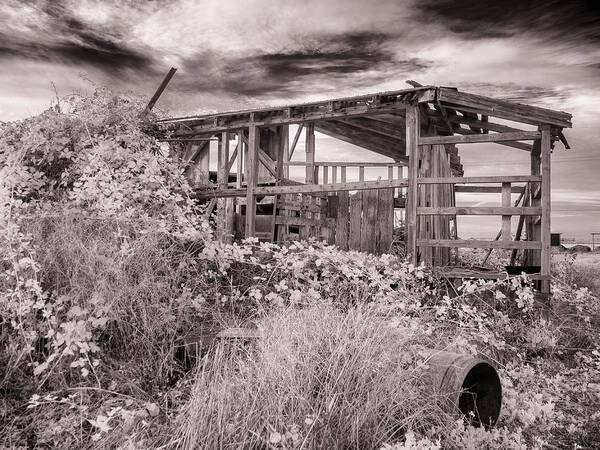 Barn Art Print featuring the photograph Entropy in Action by Greg Nyquist