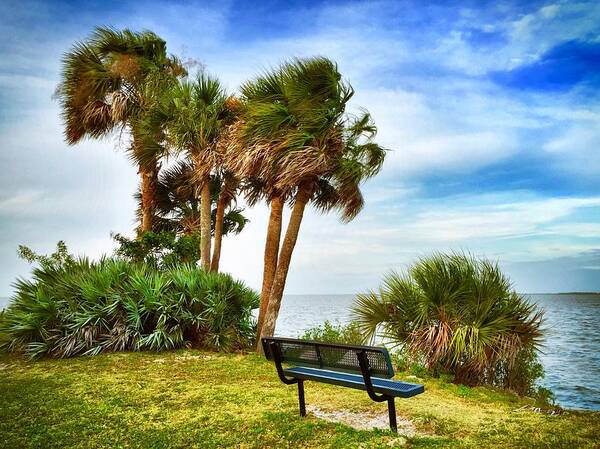 Blue Sky Art Print featuring the photograph Esperare by Carlos Avila