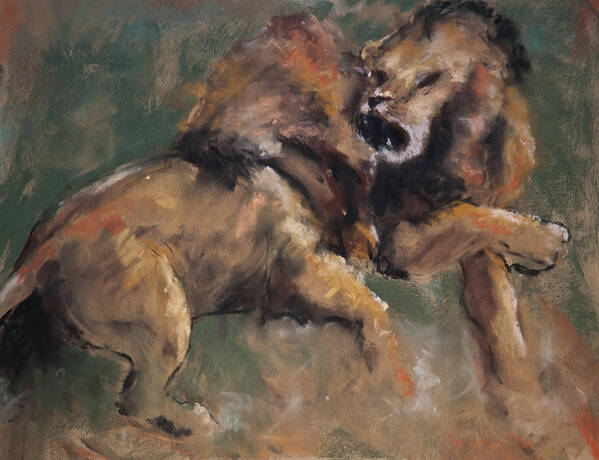 Lions Art Print featuring the pastel 'Establishing Position' by Jim Fronapfel