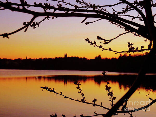 Evening Art Print featuring the photograph Evening Calm by Beth Myer Photography