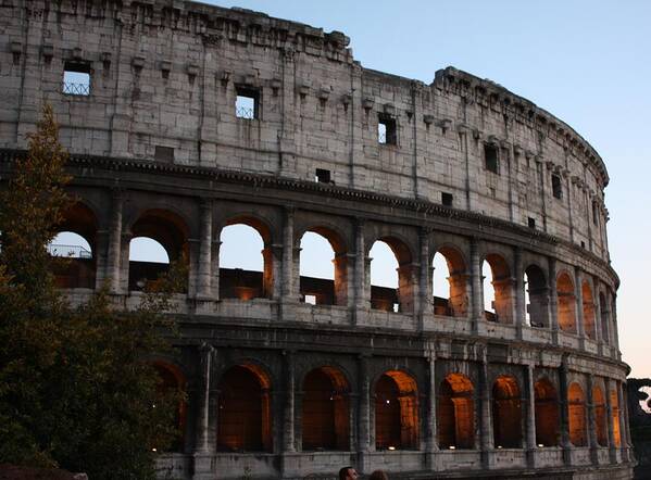 Rome Art Print featuring the photograph Evening light in Rome by Pat Purdy