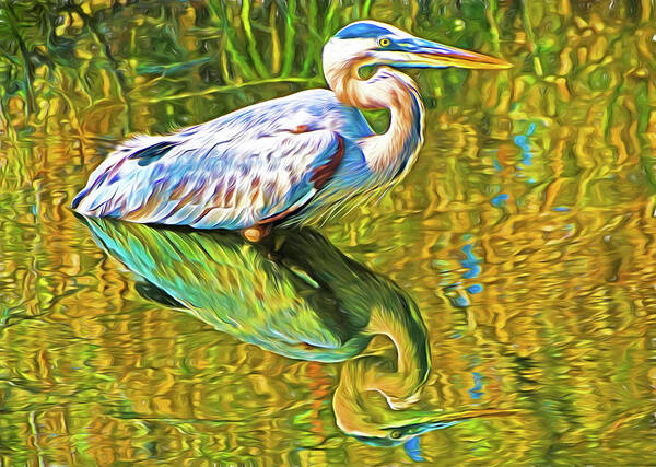 Photo Art Painting Art Print featuring the photograph Everglades Blue Heron by Dennis Cox