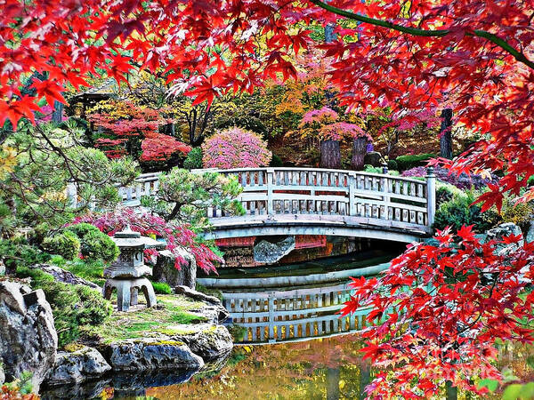 Autumn Bridge Art Print featuring the photograph Fall Bridge in Manito Park by Carol Groenen