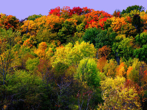Hovind Art Print featuring the photograph Fall Colors by Scott Hovind