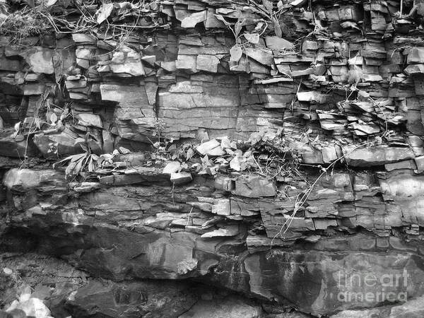 Rocks Art Print featuring the photograph Fallen Rocks by Reb Frost