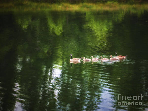 Fine Art Photography Art Print featuring the photograph Family Values ... by Chuck Caramella