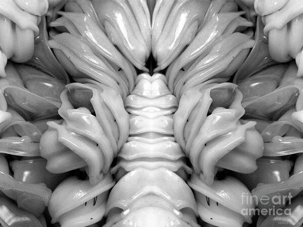 Organic Art Print featuring the photograph organic art photography - Plasticity VIII by Sharon Hudson