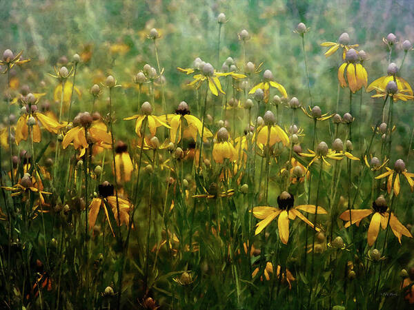 Impressionist Art Print featuring the photograph Field of Yellow 2498 IDP_2 by Steven Ward