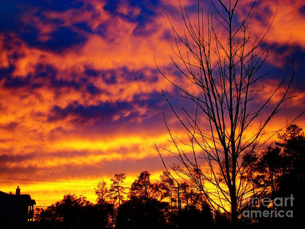 Sunset Art Print featuring the photograph Fire in the Sky by Sue Melvin