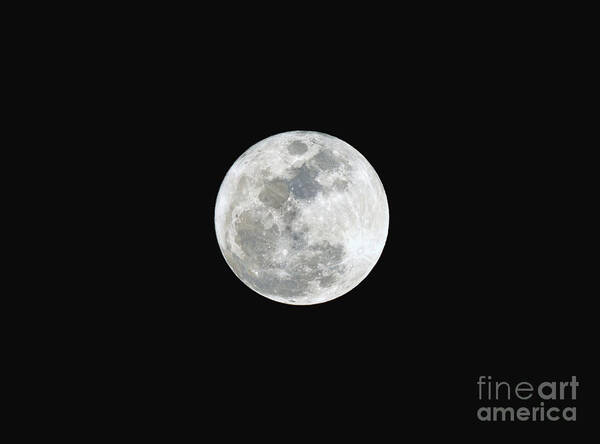 First Art Print featuring the photograph First Full Moon of 2016 by Eddie Yerkish