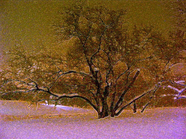 First Snowfall Art Print featuring the photograph First Snowfall by Sherwanda Irvin