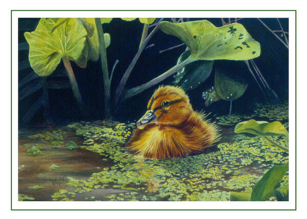Duckling Art Print featuring the painting First Spring - Mallard Duckling by Bob Nolin