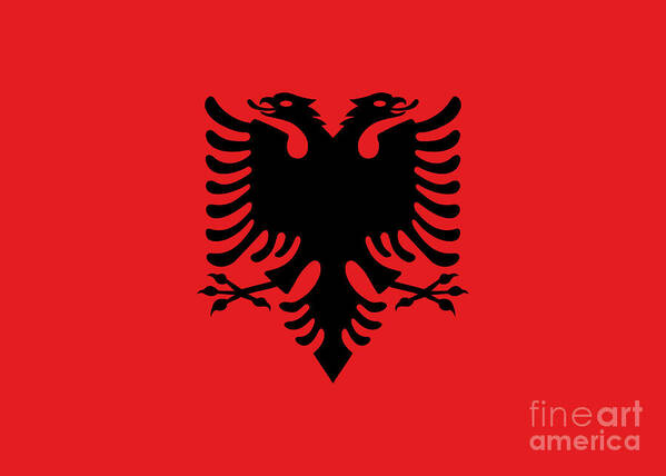 Albania Art Print featuring the digital art Albanian Flag of Albania by Sterling Gold