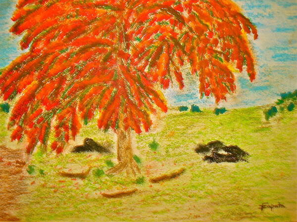 Tropical Tree Art Print featuring the drawing Flamboyan-Tropical Splendor by Felix Zapata
