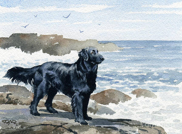 Flat Coated Art Print featuring the painting Flat Coated Retriever at the Beach by David Rogers