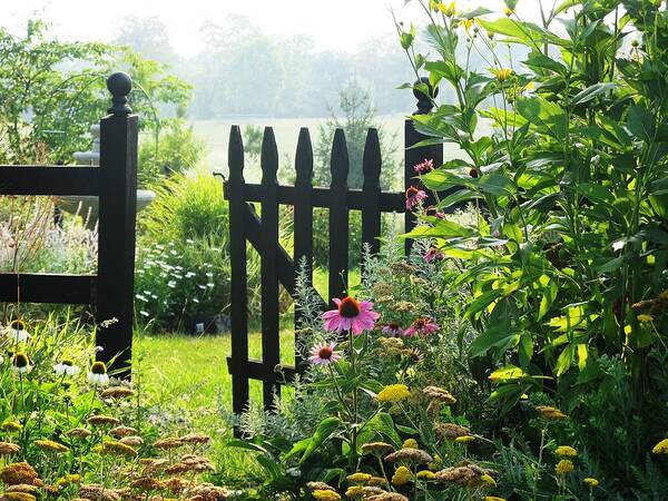 Gates Art Print featuring the photograph Flower Gate by Joyce Kimble Smith