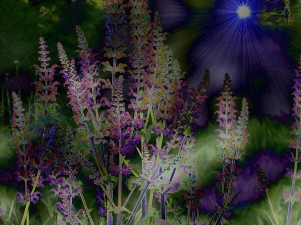 Abstract Art Print featuring the photograph Flowers By Moonlight by Barbara S Nickerson