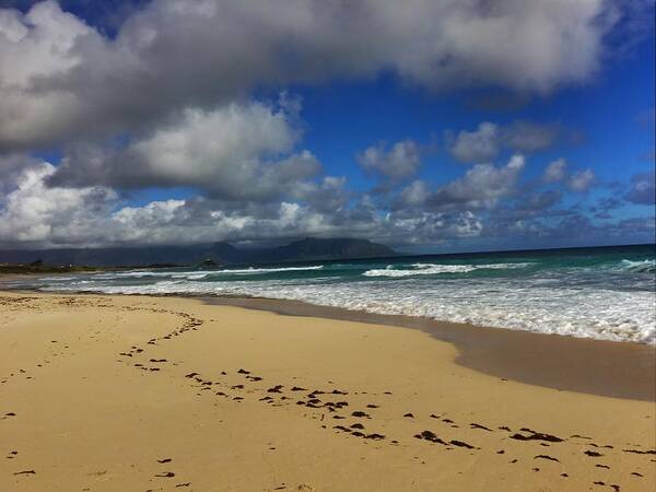 Beach Art Print featuring the photograph Footprints by Todd Aaron