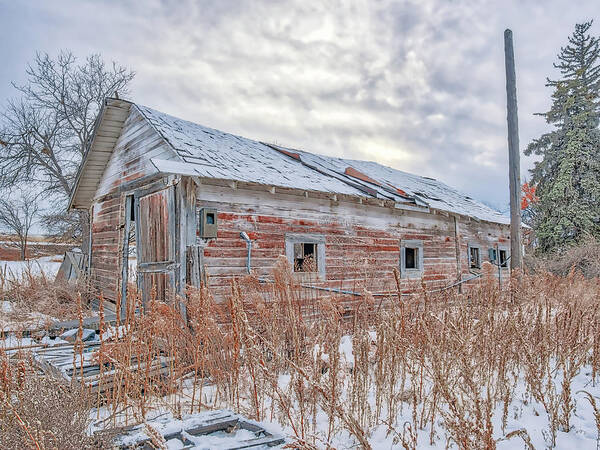 Barn Art Print featuring the photograph Forgotten Barn by Jennifer Grossnickle