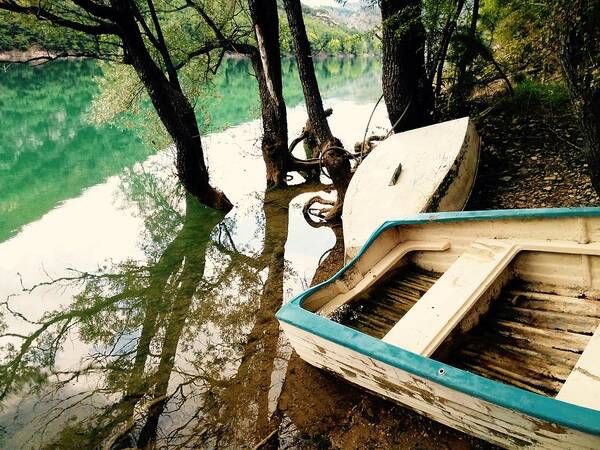 Lake Art Print featuring the photograph Forgotten Boats by Tiffany Marchbanks