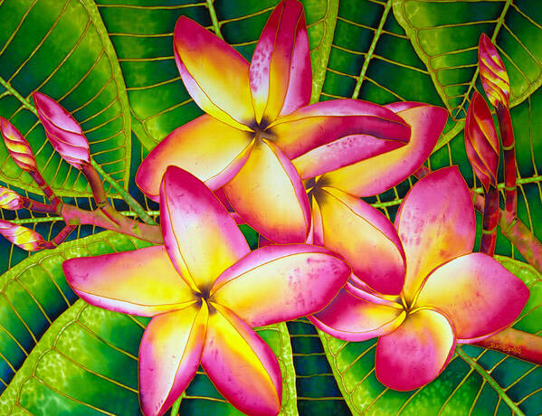 Frangipani Flower Art Print featuring the painting Frangipani Flower by Daniel Jean-Baptiste