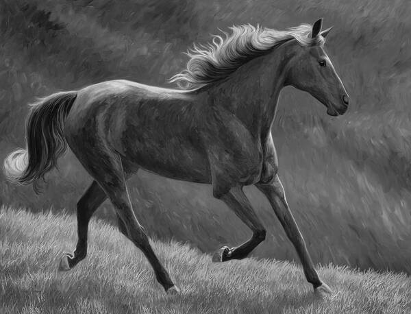 Horse Art Print featuring the painting Free - Black and White by Lucie Bilodeau