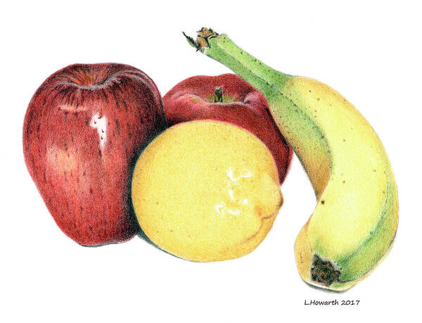 Fruit Art Print featuring the drawing Fruit Medley by Louise Howarth